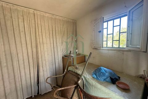 Masia a Ostuni, Brindisi, Ostuni - € 75.000 | Ref: Casolare Vert - foto 12
